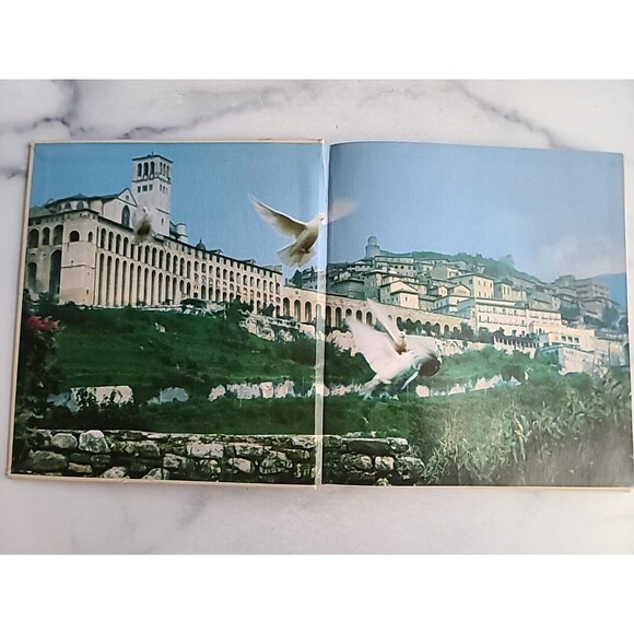 The Small Miracle Hardcover - Picture 2 of 10